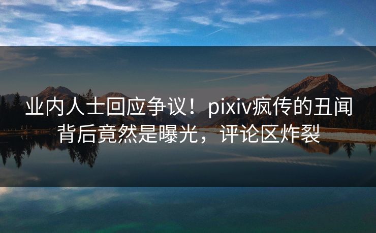 业内人士回应争议！pixiv疯传的丑闻背后竟然是曝光，评论区炸裂