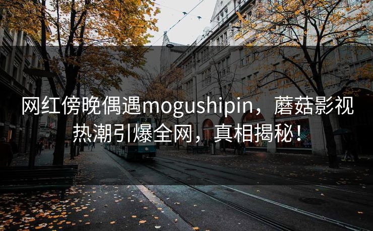 网红傍晚偶遇mogushipin，蘑菇影视热潮引爆全网，真相揭秘！