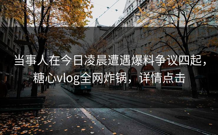 当事人在今日凌晨遭遇爆料争议四起，糖心vlog全网炸锅，详情点击