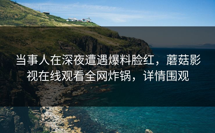 当事人在深夜遭遇爆料脸红，蘑菇影视在线观看全网炸锅，详情围观