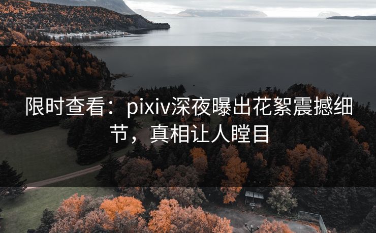 限时查看：pixiv深夜曝出花絮震撼细节，真相让人瞠目