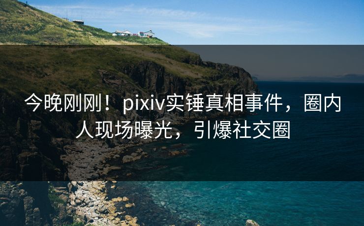 今晚刚刚！pixiv实锤真相事件，圈内人现场曝光，引爆社交圈